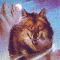 Avatar von Ratte159