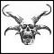 Avatar von SoulHunter