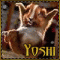 Avatar von Yoshi