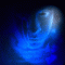 Avatar von Gothicschtiger