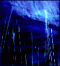 Avatar von worrywort