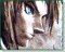 Avatar von Shadow Link