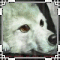 Avatar von Shatiel