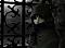 Avatar von Nightc