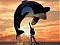 Avatar von Dark_Spacken_666_!