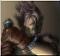 Avatar von Tweekymania
