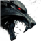 Avatar von Motris