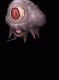 Avatar von Murphys Law