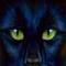 Avatar von Blackberry