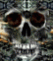 Avatar von Hollndermichel