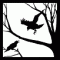 Avatar von Phate