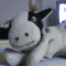 Avatar von Bunkerkuh