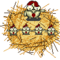 Avatar von Cuna