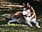 Avatar von Lord Wolf