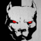 Avatar von JokerofDarkness