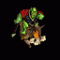 Avatar von Duis