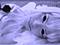 Avatar von Saw
