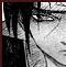 Avatar von Dragonhunter