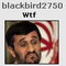 Avatar von blackbird2750