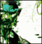 Avatar von Solid Senv