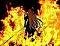 Avatar von Shinra Inc.