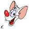 Avatar von Pinky