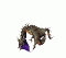 Avatar von re: wall_com