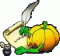 Avatar von Freddy