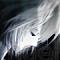 Avatar von Shynterin Nesukat